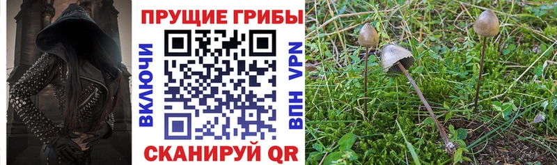 Галлюциногенные грибы мухоморы  Шахунья 