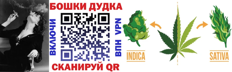 Бошки Шишки VHQ  купить наркотики сайты  Шахунья 